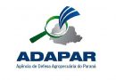 Prazo para atualização cadastral de rebanho segue até 30/06