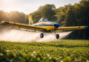 Aviação agrícola faz manejo de culturas agrícolas sem perdas