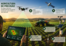 Agricultura de Precisão ajuda produtor a decidir sobre investimentos