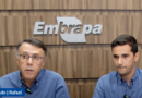 Webinar apresenta situação atual e perspectivas de manejo de plantas daninhas na soja Webinar apresenta situação atual e perspectivas de manejo de plantas daninhas na soja