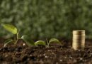 Projeto cria linha de crédito para produtores rurais com recursos do pré-sal Projeto cria linha de crédito para produtores rurais com recursos do pré-sal
