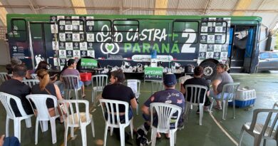 “Castra+Paraná2:” mutirão oferece 2 mil castrações gratuitas em Curitiba