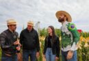 Com Primos Agro, “Copacol Agro” destaca o poder da influência digital