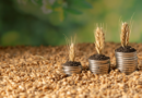 Estoque de Cédulas de Produto Rural atinge R$ 565 bilhões em maio de 2026 Estoque de Cédulas de Produto Rural atinge R$ 565 bilhões em maio de 2026