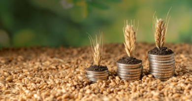 Estoque de Cédulas de Produto Rural atinge R$ 565 bilhões em maio de 2026 Estoque de Cédulas de Produto Rural atinge R$ 565 bilhões em maio de 2026