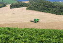 Campo mais forte: Valor Bruto de Produção da agropecuária do Paraná dobra em seis anos