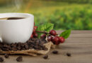 Inscrições para o Concurso Café Qualidade Paraná 2026 abrem em setembro Inscrições para o Concurso Café Qualidade Paraná 2026 abrem em setembro
