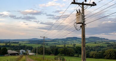 Falta de energia no campo preocupa produtores e provoca prejuízos à atividade rural Falta de energia no campo preocupa produtores e provoca prejuízos à atividade rural