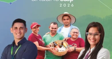 “AnuárioCoop 2026”: cooperativismo chega a 29 milhões de cooperados